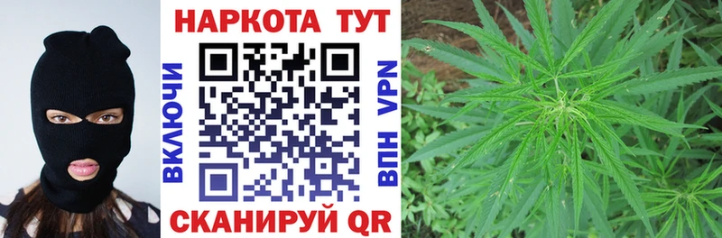 Какие есть наркотики Новоаннинский Каннабис  COCAIN  ГАШ  Alpha PVP  Псилоцибиновые грибы  Бутират  Мефедрон 
