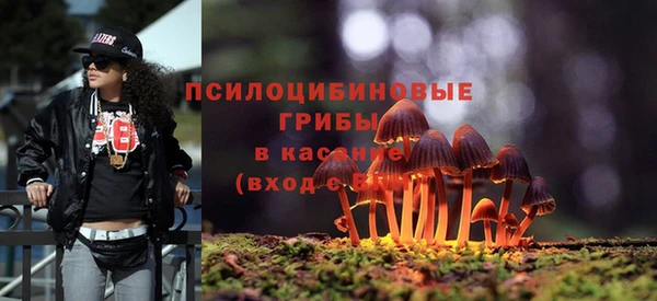 ПСИЛОЦИБИНОВЫЕ ГРИБЫ Алзамай
