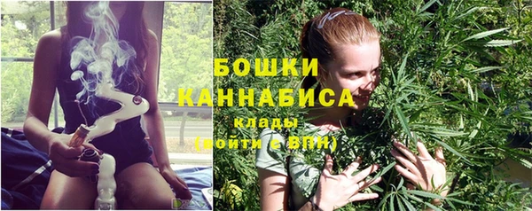 прущий лед Няндома