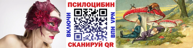 Галлюциногенные грибы Psilocybe  Новоаннинский 